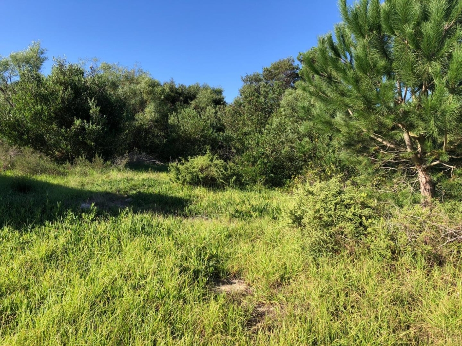 Commercial Property for Sale in Baardskeerdersbos Western Cape
